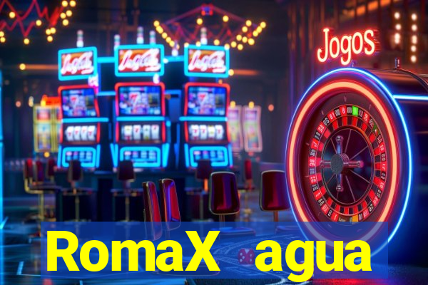 RomaX agua sanitaria fispq agua sanitaria romax